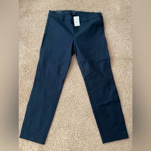 JCrew Winnie Pant